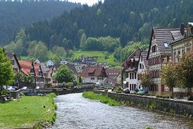 The Beautiful Black Forest