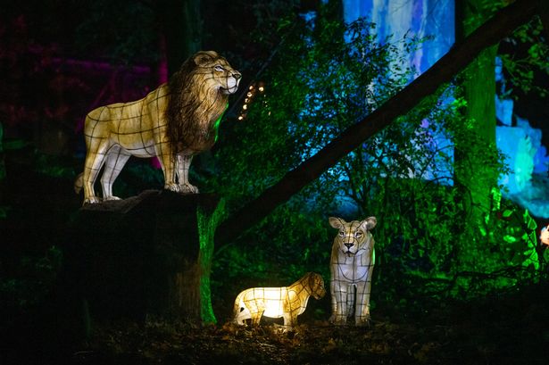 Chester Zoo & The Lanterns