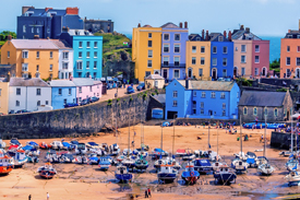 Turkey & Tinsel in Pembrokeshire