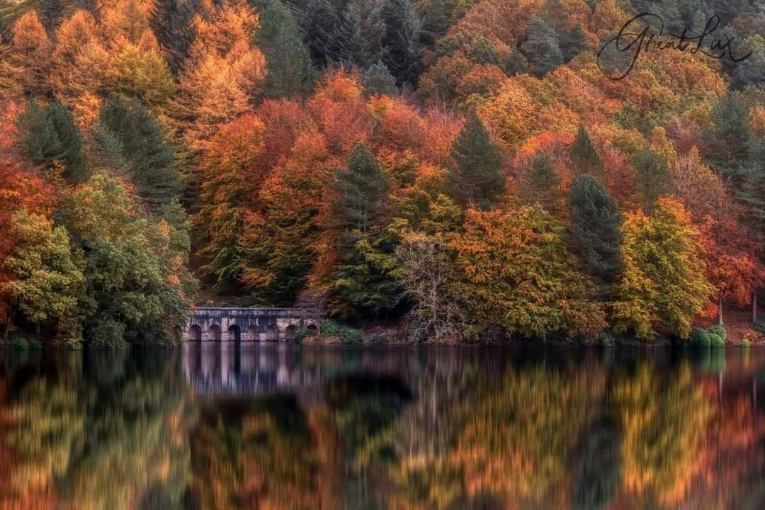 Autumn Tints of the Peak District