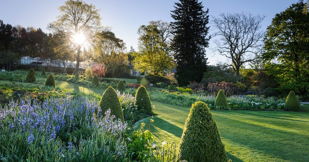 Harrogate Spring Flower Show
